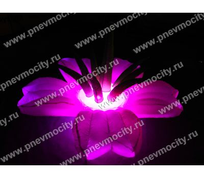  Надувной Цветок Экзотика Розовый Диаметр 1м, фото 4 