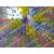  Аттракцион Водный Роллер Разноцветный пвх, фото 4 