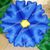  Надувные цветы гирлянда Василёк, фото 1 